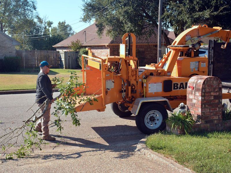 Tree removal job near Elmwood, IL
